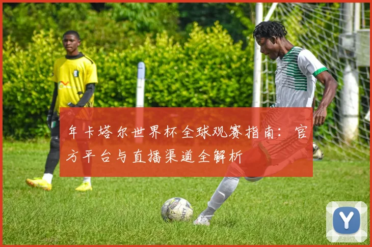 年卡塔尔世界杯全球观赛指南:官方平台与直播渠道全解析