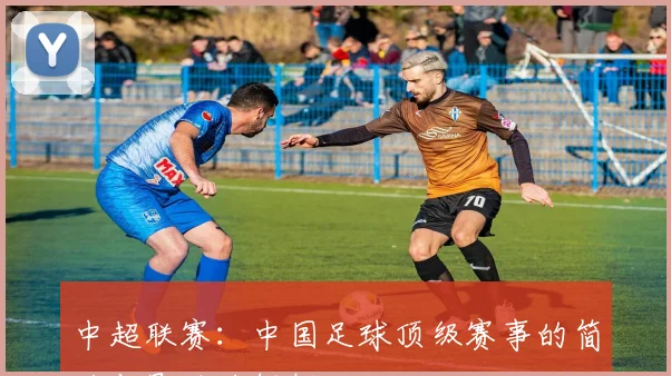 中超联赛:中国足球顶级赛事的简称与影响力解析