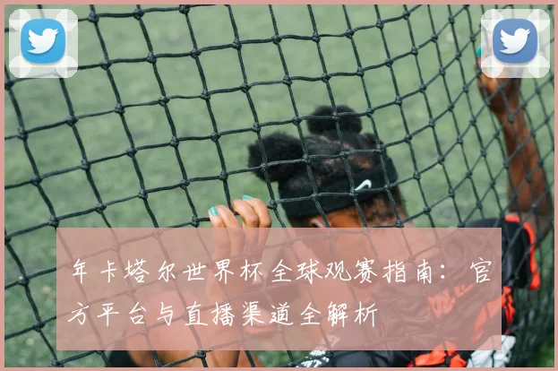 年卡塔尔世界杯全球观赛指南:官方平台与直播渠道全解析