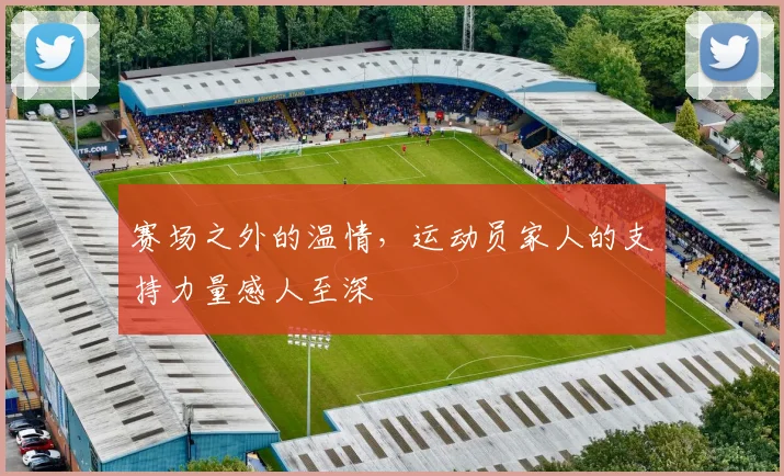 赛场之外的温情,运动员家人的支持力量感人至深